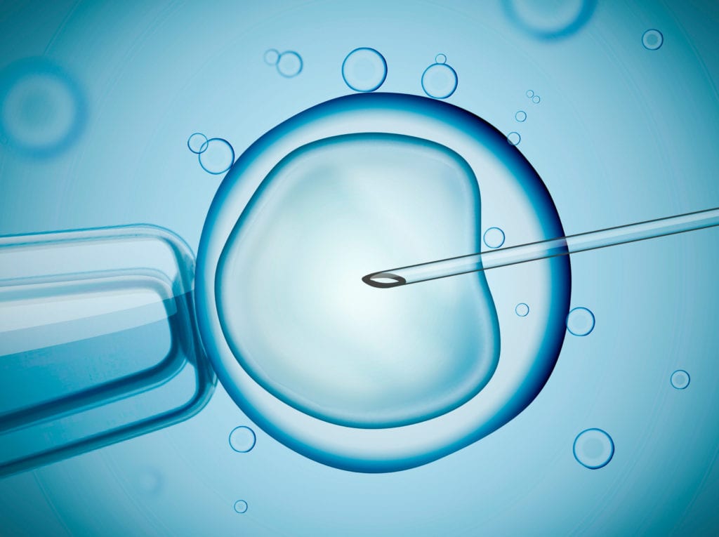Fecundacio In vitro, Embriogyn, Tractaments fertilitat